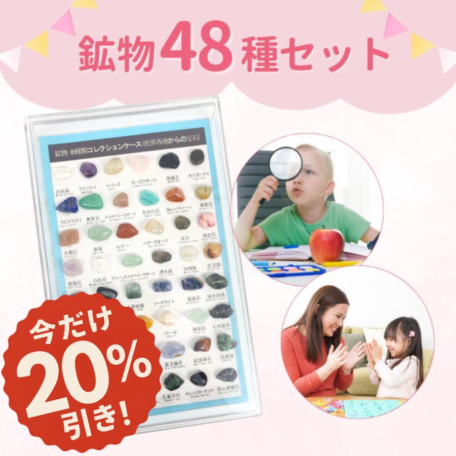 天然 岩石 鉱物 宝石 標本 鉱石 セット 図鑑 研究 自由研究 宿題 勉強