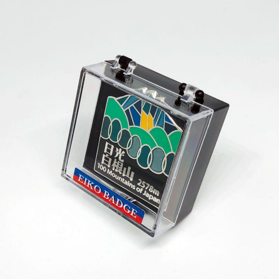 激レア 99年シドニー五輪プレ大会 サザンクロス大会 日本ピンバッジ 激