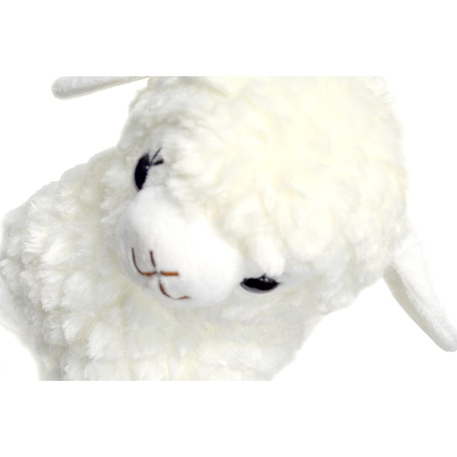 2匹 こひつじラムちゃん cute lamb キュートラム ぬいぐるみ 仔羊