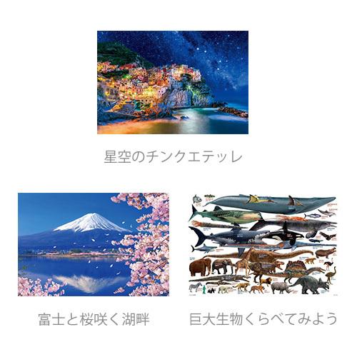 ビバリー（Bevery） 1000ピース ジグソーパズル 星空のチンクエテッレ