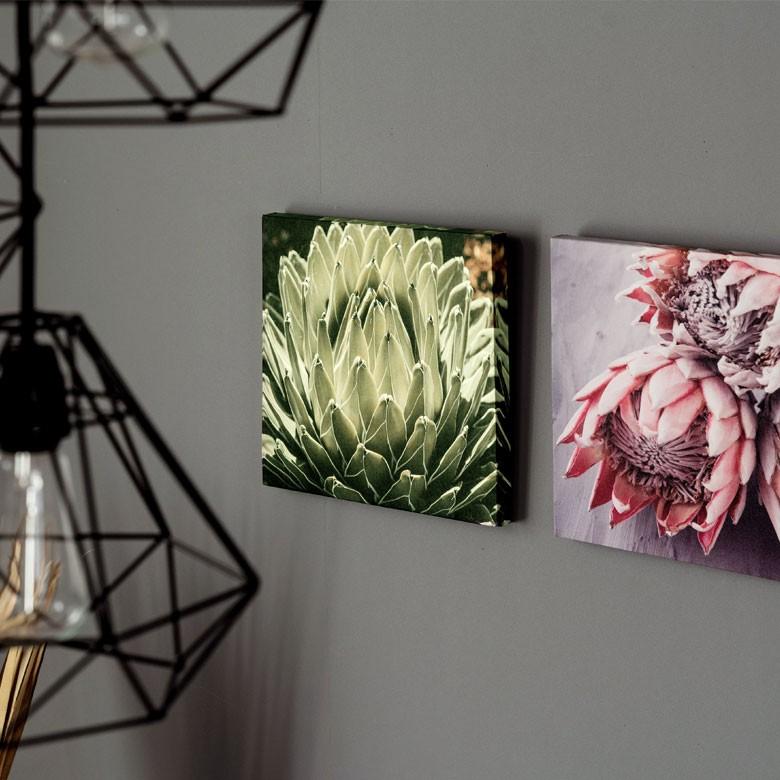 アートパネル アガベ 花 フラワー 植物 写真 アートフレーム ウォール