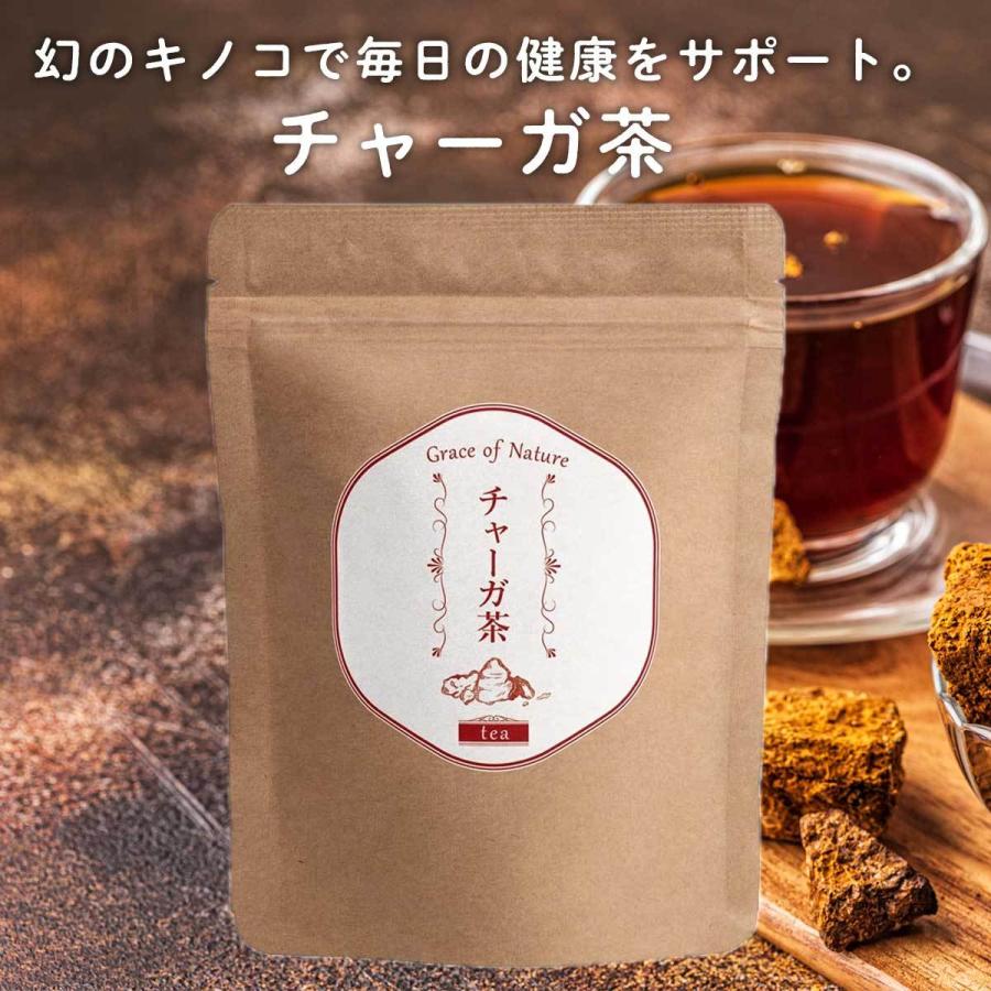 チャーガ茶 管理栄養士監修 ティーバッグ 3g×30包入(90g) ノンカフェ