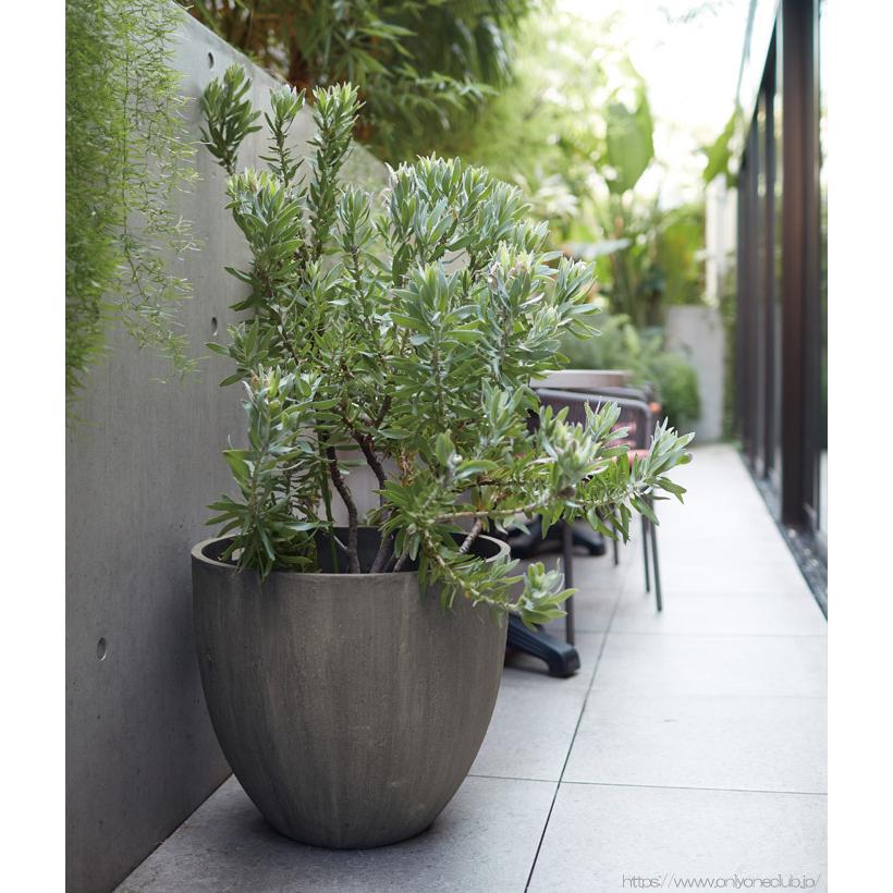 プランター 大型 植木鉢 円形 ファイバーポリレジン 鉢 おしゃれ