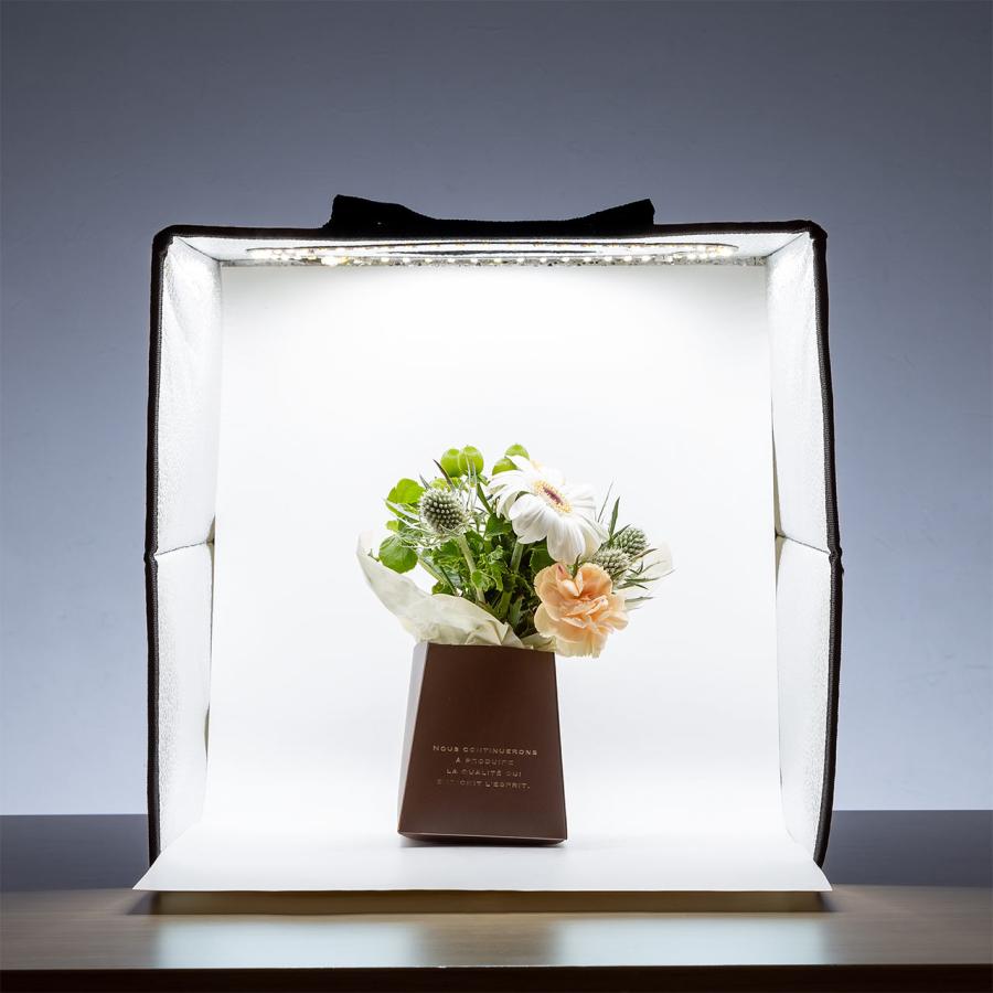 SANWA SUPPLY（サンワサプライ） 撮影ボックス 30cm ライト付