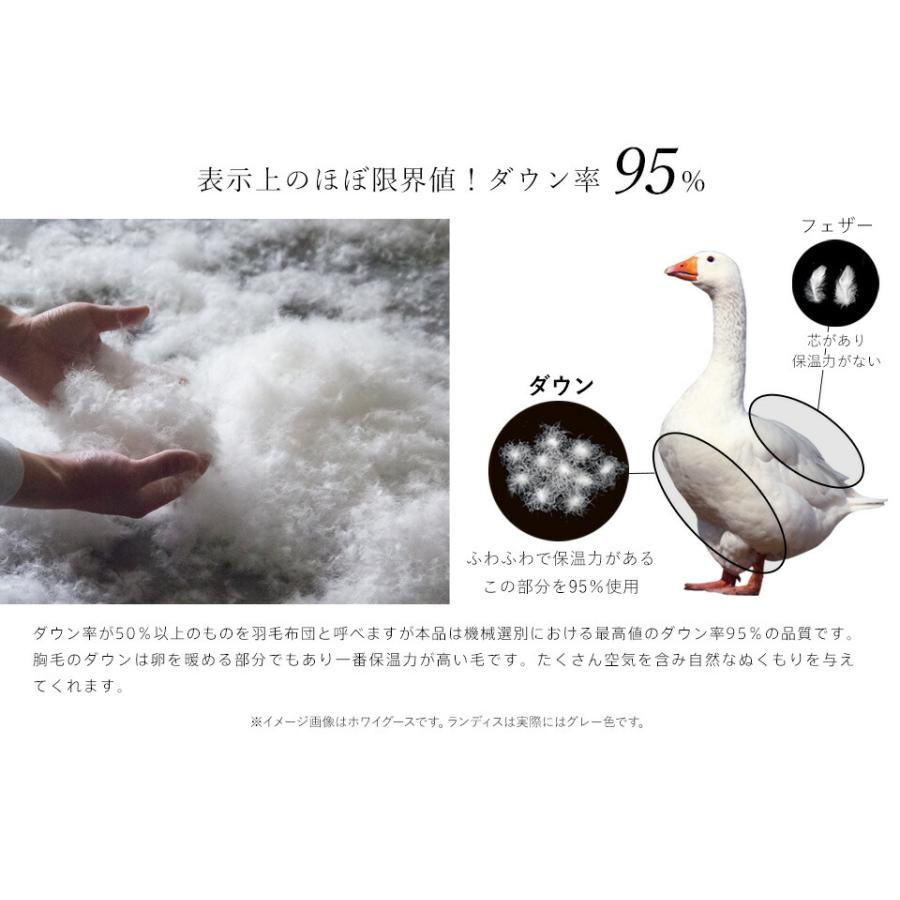 羽毛布団 二層式 シングル ランディスマザーグース95％ マザーグース