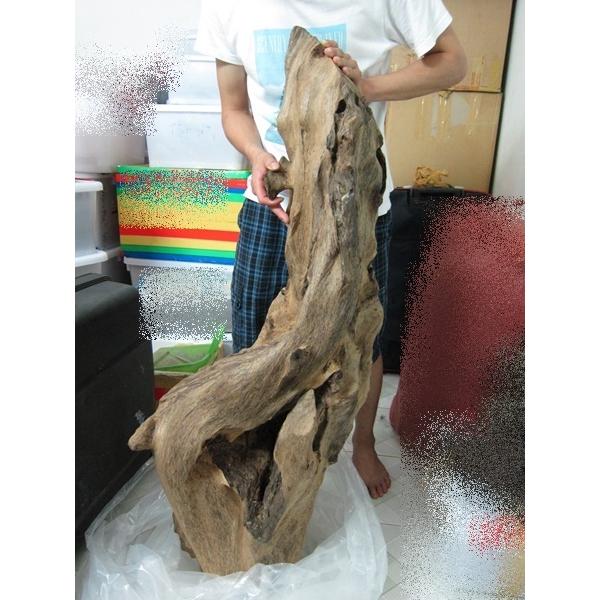 約28kg巨大天然沈香大木 原木 沈香 シャム 沈水香木 香木 お香／検索