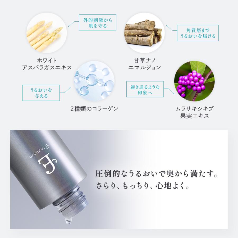 公式 / リニューアル】 スキンケア 3点 セット エテルナム 日本製 化粧