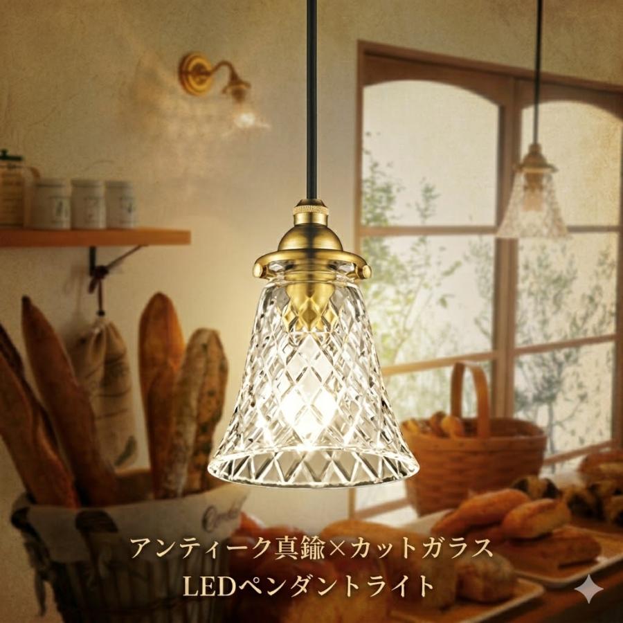 照明 おしゃれ オーデリック ODELIC ペンダントライト OP252295LR 引掛