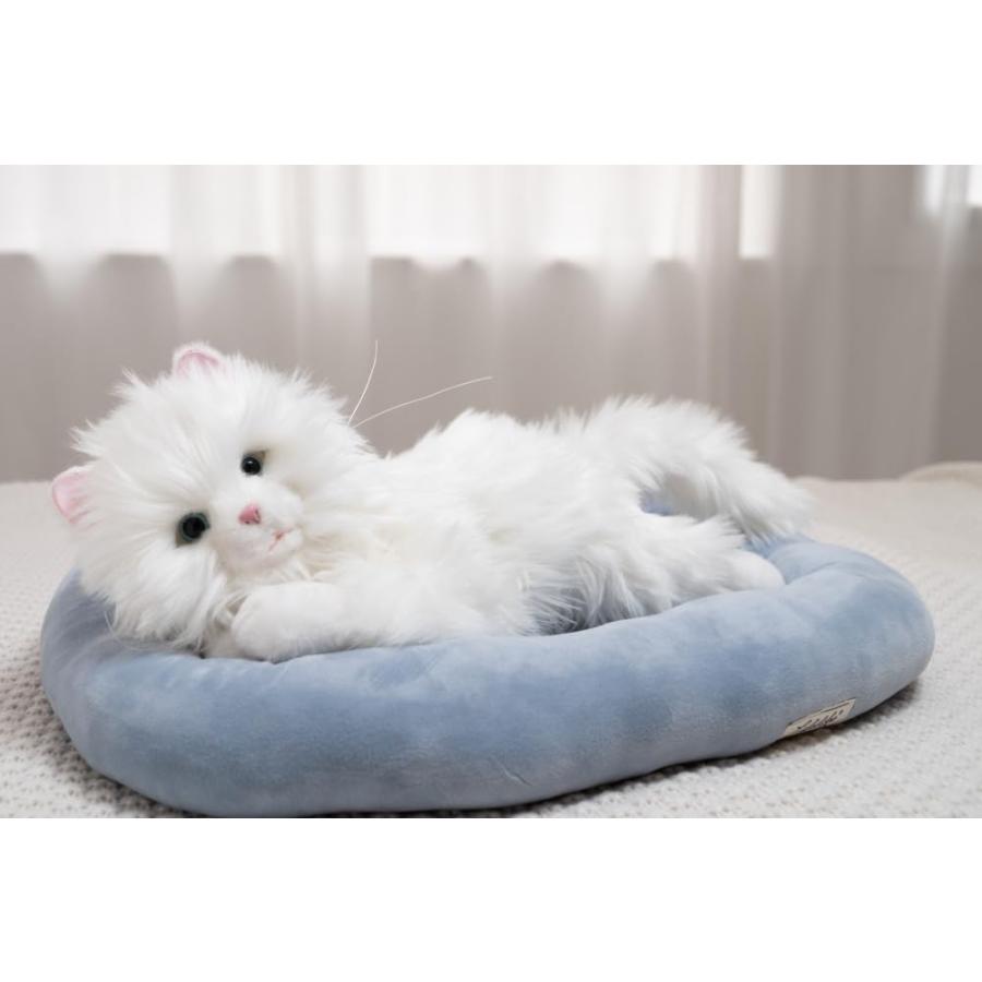 あなたのパートナー しっぽふりふり あまえんぼう 子ねこちゃん