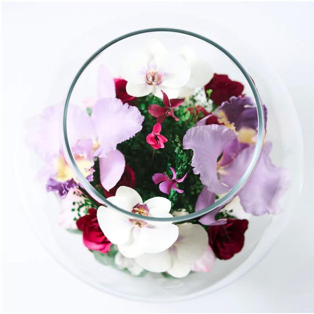 レンデフロール カトレア 胡蝶蘭 シクラメン グラジオス ドライ