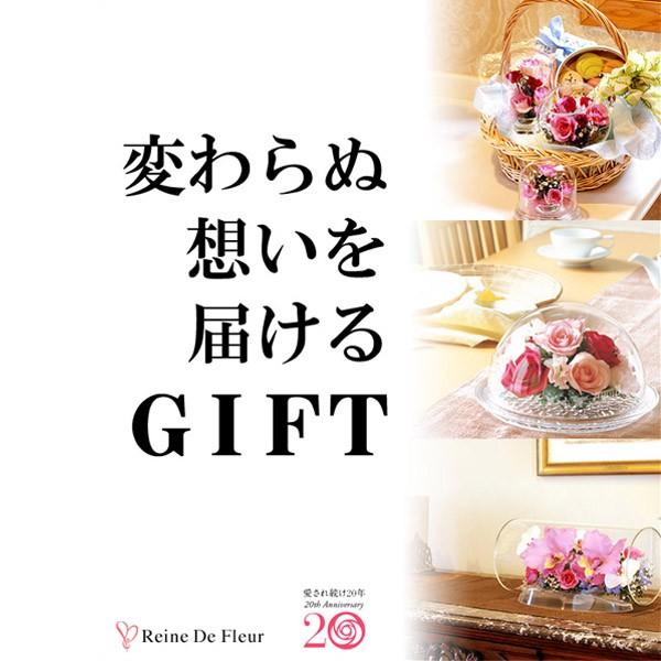 レンデフロール カトレア 胡蝶蘭 シクラメン グラジオス ドライ