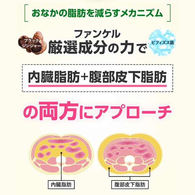 FANCL（ファンケル） 【ポイント15%】 内脂サポート 機能性表示食品 30