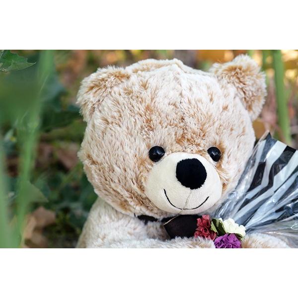 ホワイトデー ギフト ぬいぐるみスイーツ 春摘み苺アイス＆ベアー