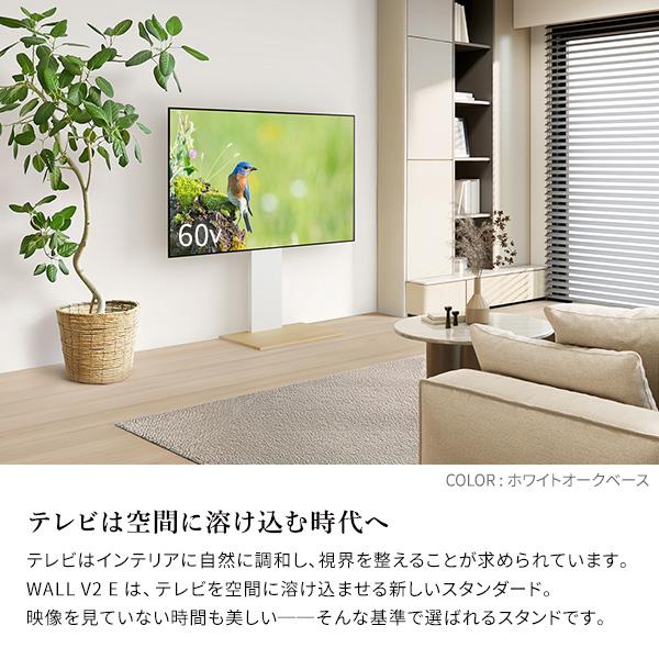 EQUALS（イコールズ） テレビ台 WALL 壁寄せ テレビスタンド V2E ロー