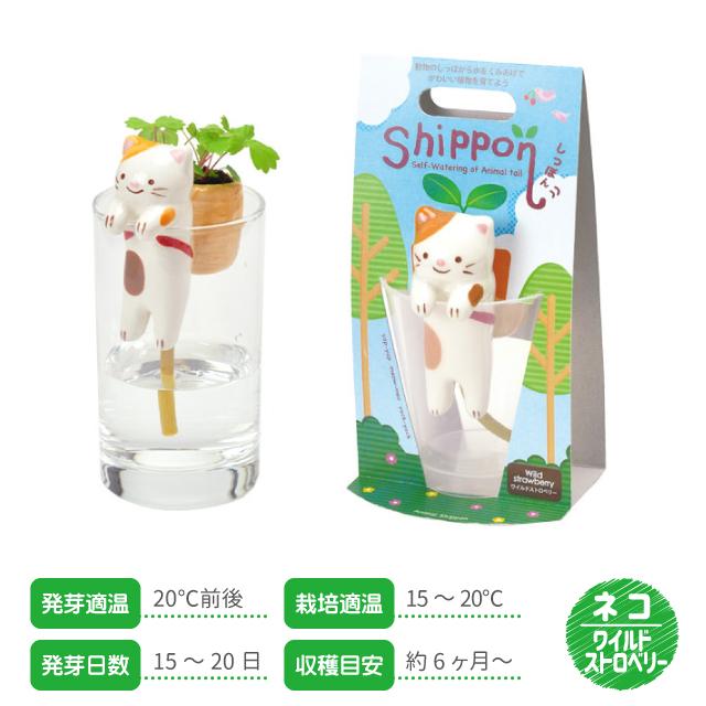 栽培セット 栽培キット しっぽん GD-660 聖新陶芸 ハーブ栽培キット