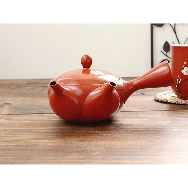 常滑焼 朱泥二口急須 (和食器 ポット 茶器 朱泥 アウトレット