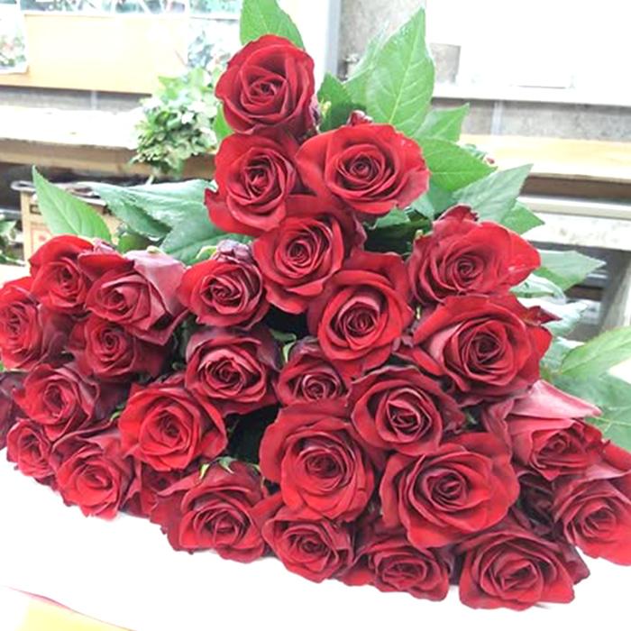 予約販売 バラ苗 バラ新苗 激愛 契約品種 薔薇 ばら 国産苗 岡松ローズ