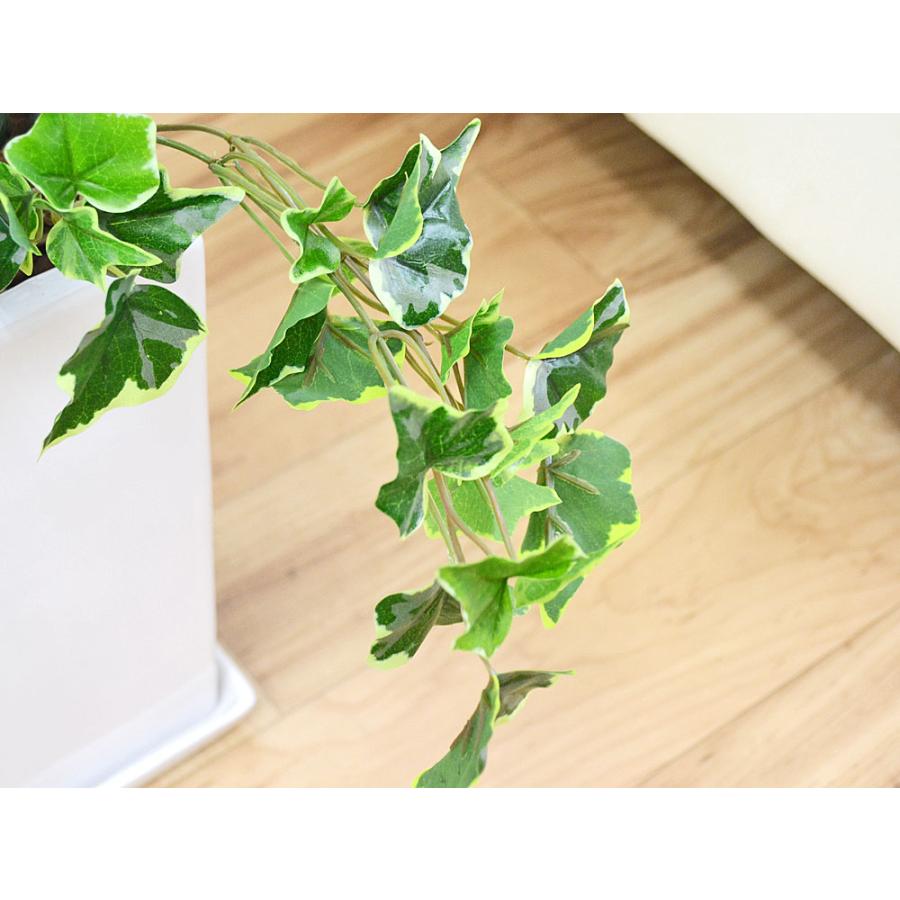 人工観葉植物 寄せ植え(フィカス・ウンベラータ) 陶器鉢 フェイク