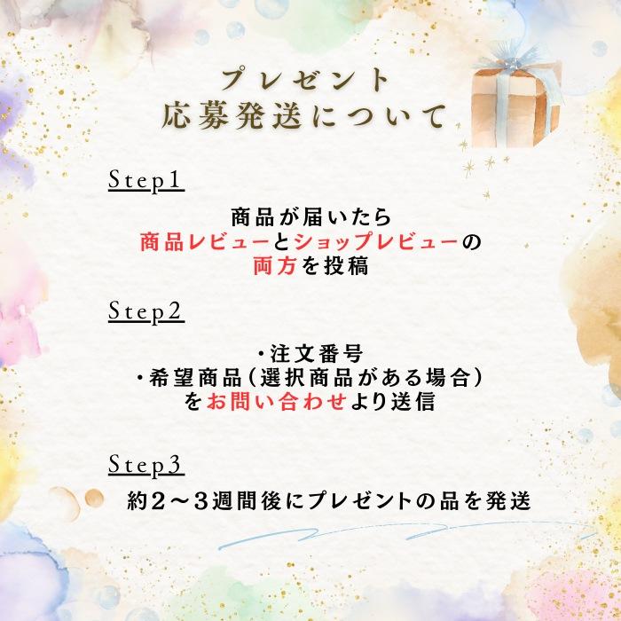 ポケモンカードゲーム プロモパック付き！ 1月24日発売 予約 新品未