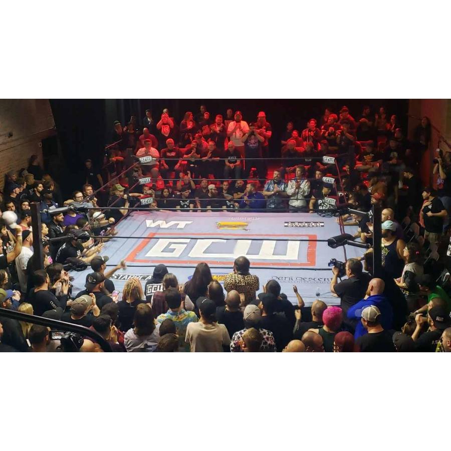 並行輸入品】プロレス四天王 プロレスリング・ノア 《米直輸入》T