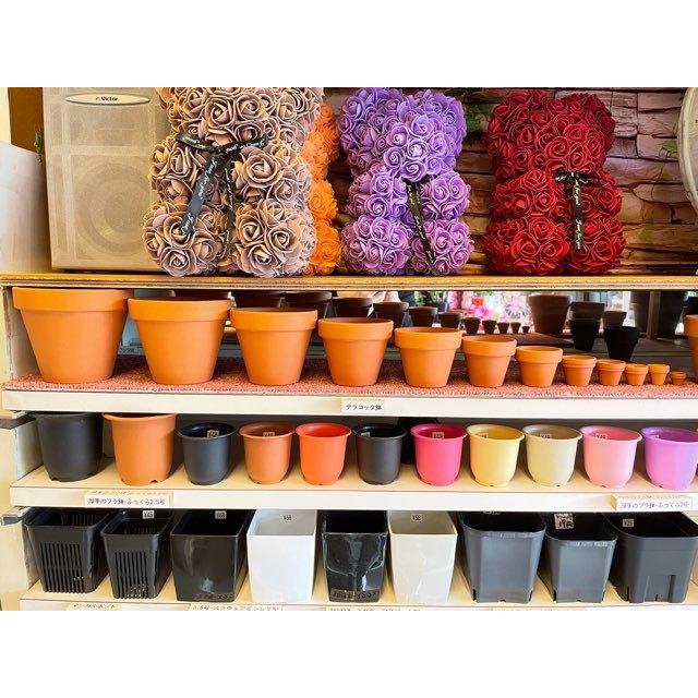 テラコッタ鉢-1.0号/超ミニ(ミニ)(外径φ3×高さ2.5cm/☆小さい方から