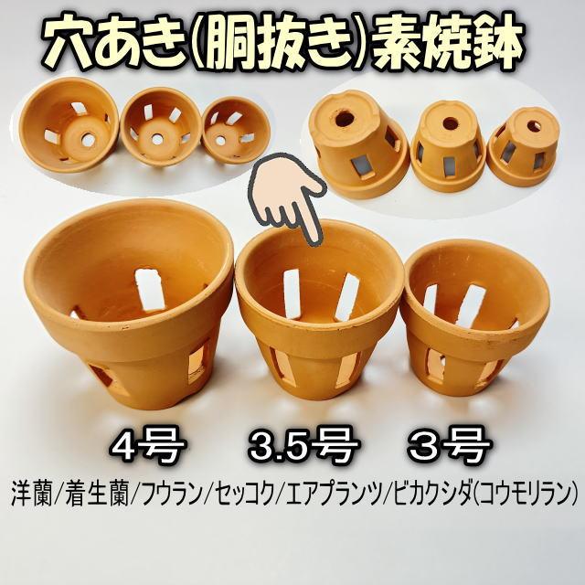 R8/01/13少量入荷！穴あき(胴抜き)素焼鉢-3.5号[長四角形穴]洋蘭/着生