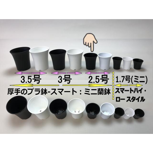 プレステラ90対応：四角型枠黒トレイハーフ＋厚手のプラ鉢-スマート2.5