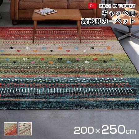 トルコ製ラグ ウィルトン織り 200×250cm 約3畳 ギャベ柄 : 収納 本棚