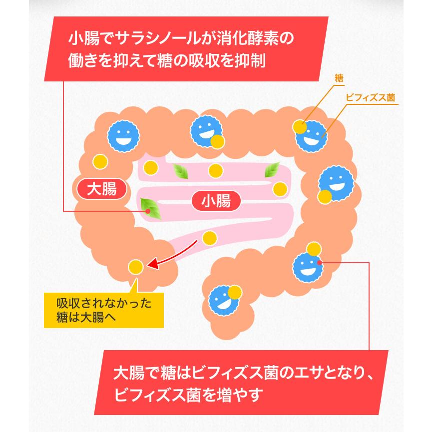 メタバリア プレミアムEX 30日分 240粒 サプリメント 公式店限定 1日分