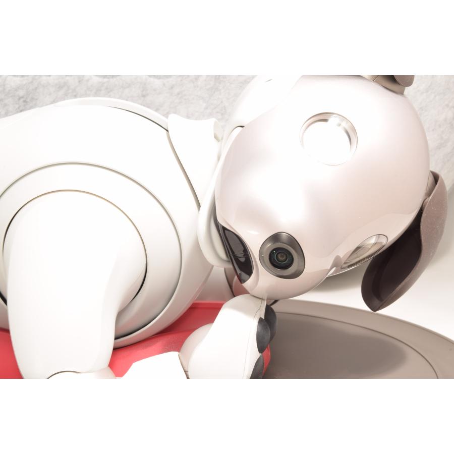 非常に綺麗 良品 ソニー SONY アイボ ERS-1000 AIBO 犬型 : フジシロ