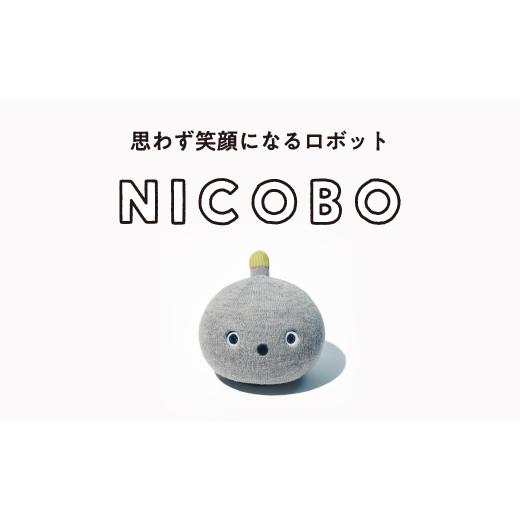 ふるさと納税 電化製品 栃木県 宇都宮市 パナソニック NICOBO（ニコボ