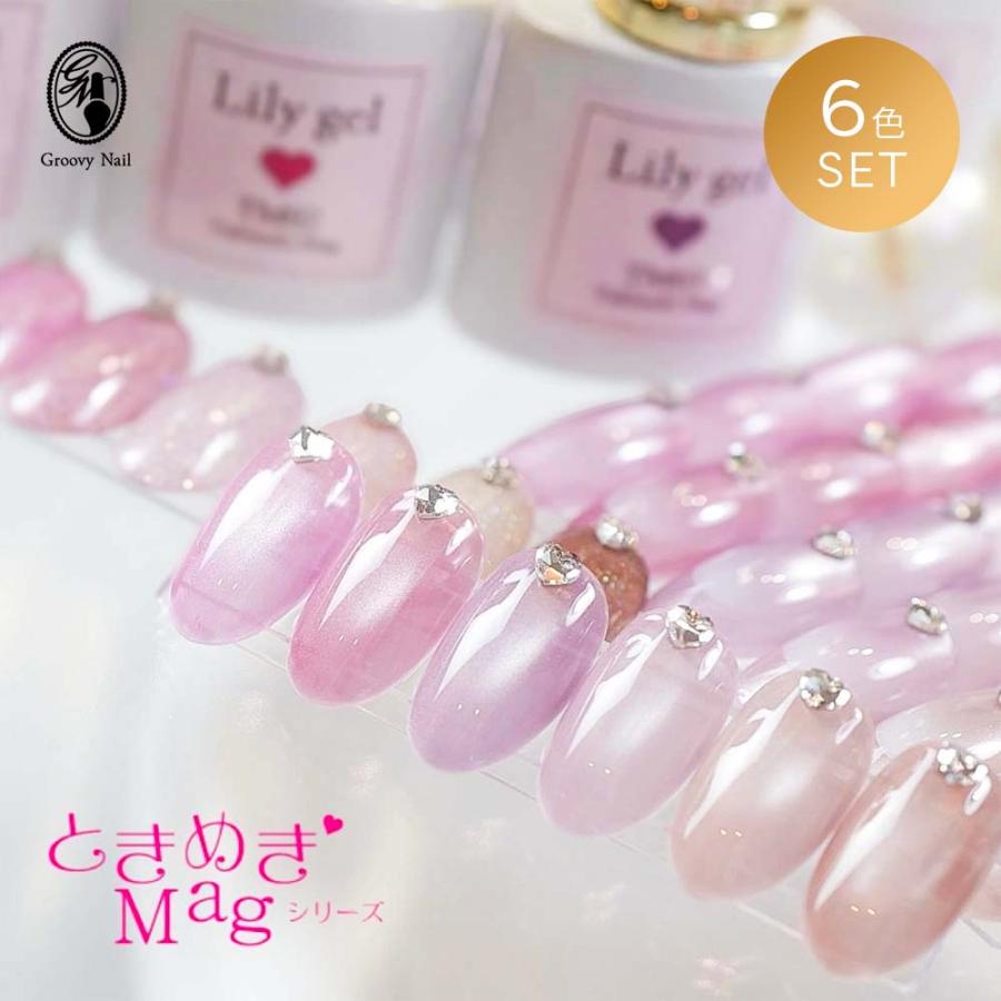 PREGEL リリージェル Lily gel ときめきマグシリーズ 6色セット TM01