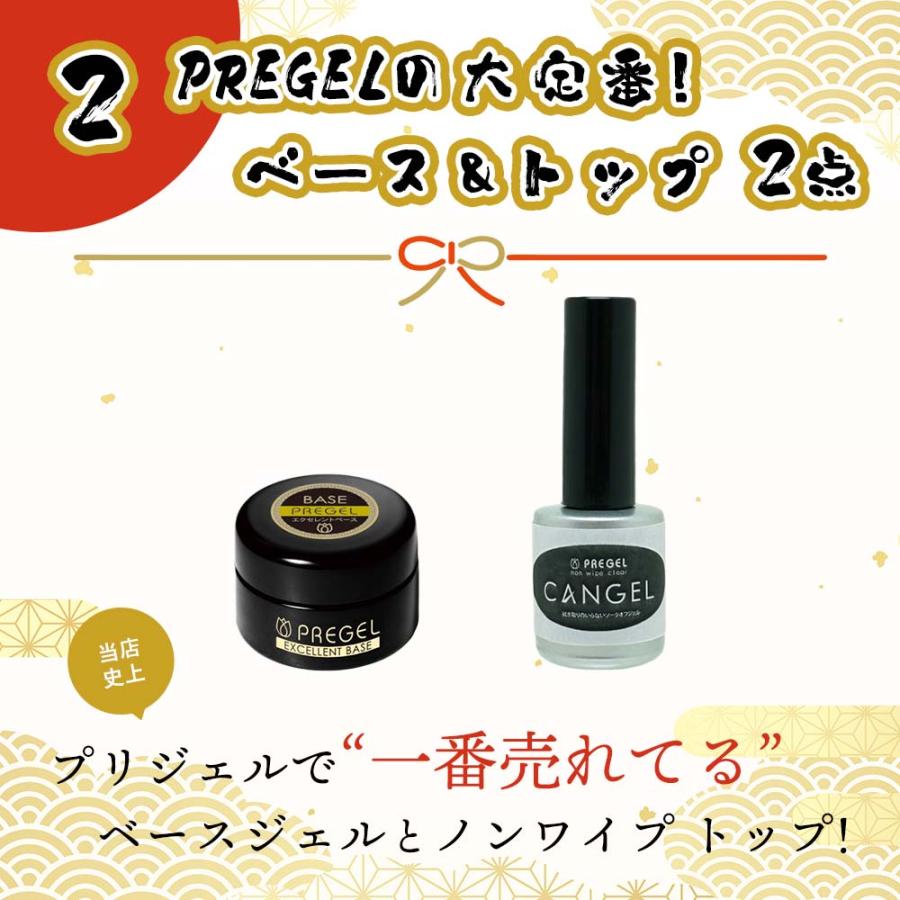 23,540円相当分】ネイル福袋 2026 PREGEL プリジェル 豪華 ジェル11点