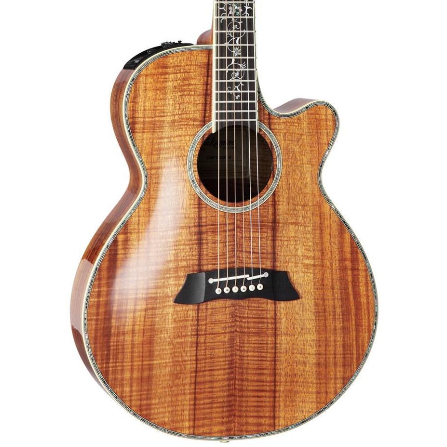 Takamine [※お取り寄せ商品] Takamine DMP100K N タカミネ エレアコ