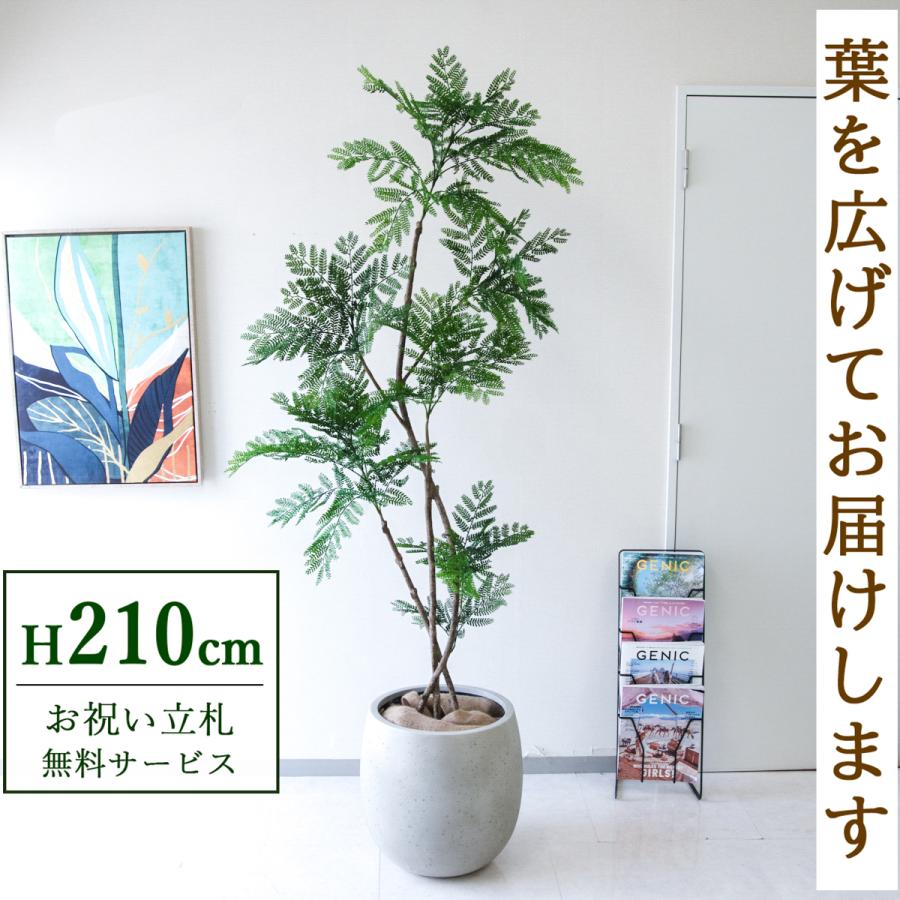 ☆立札無料☆【すぐ飾れる】 フェイクグリーン 人工観葉植物