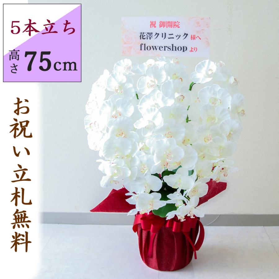 造花 胡蝶蘭/白(ホワイト)/5本立ち/赤ラッピング/お祝い花 開店 開業