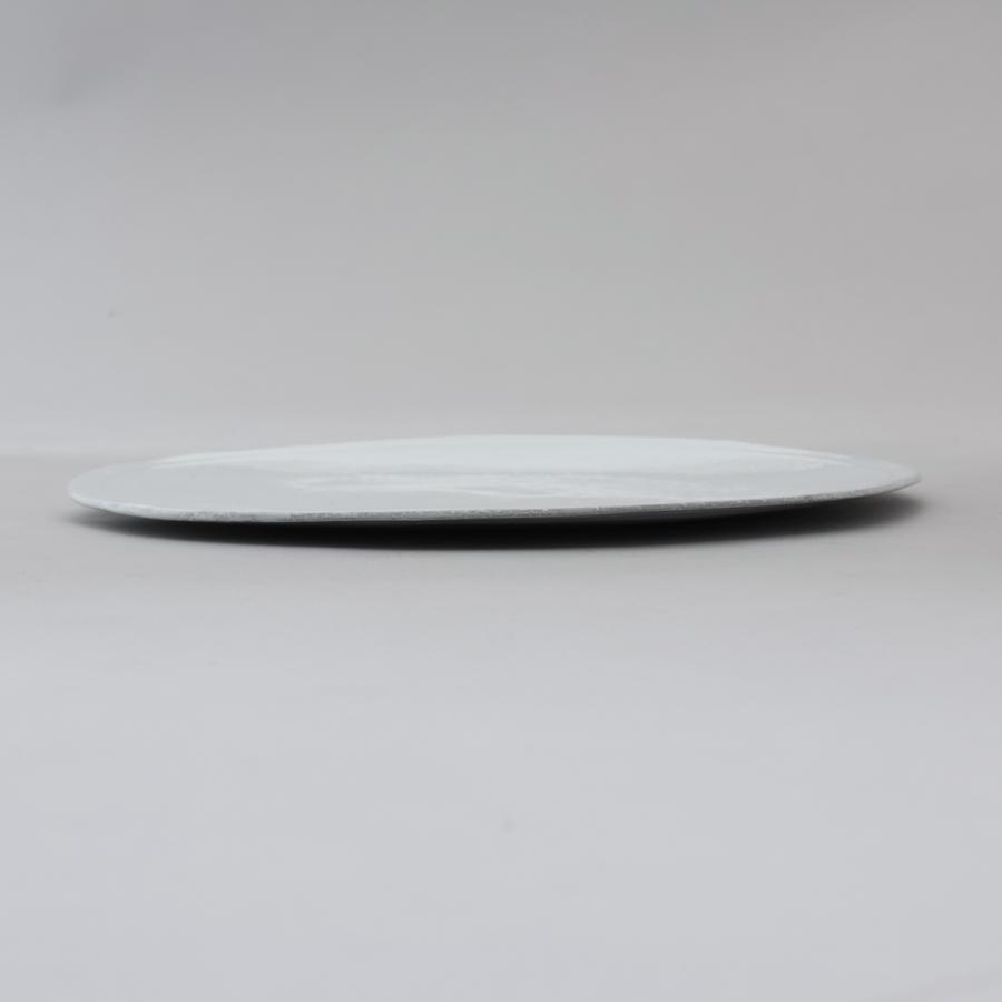 並行輸入 アスティエ・ド・ヴィラット ASTIER de VILLATTE プレート