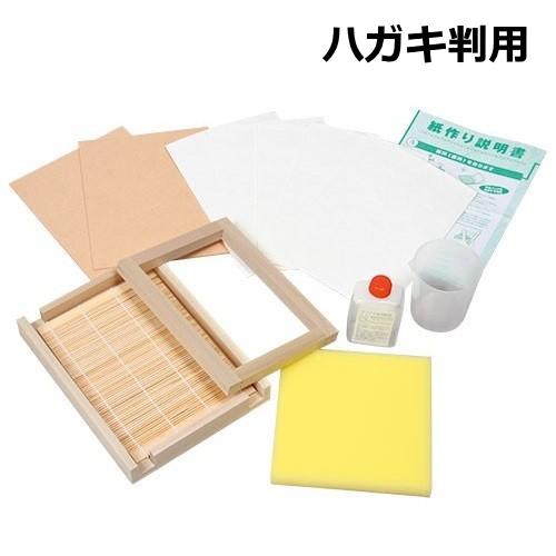 紙漉き体験キット かみすきっこセット ハガキ判 木枠 粘剤 はがき 紙