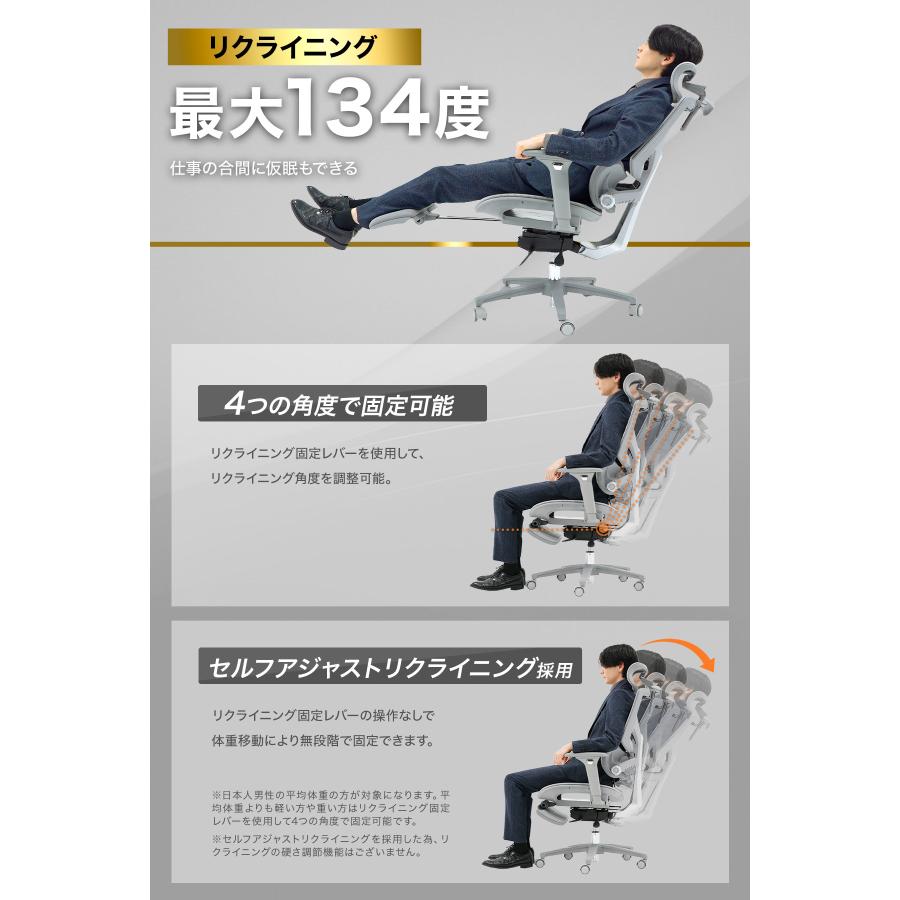 EastForce 多機能モデル LUMBIRT4.0 3ゾーンランバーサポート搭載 4D