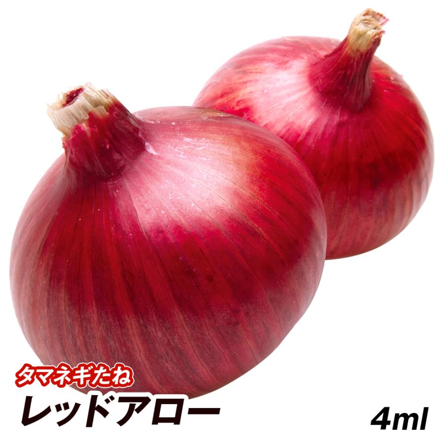 種 野菜たね タマネギ （極早生）レッドアロー 品種登録出願中 1袋