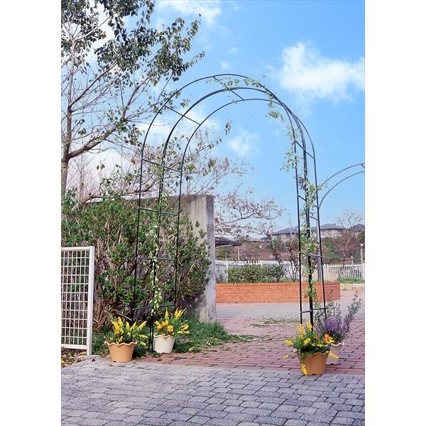 アーチ バラ ガーデン ローズ 鉄製 アーチEX 黒 1個 幅140 奥行40 高さ