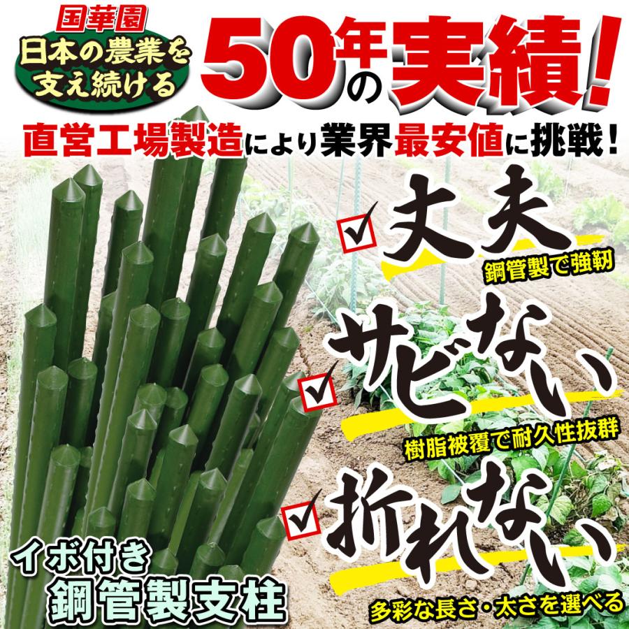 園芸 支柱 Φ11mm×90cm 100本 イボ付き鋼管製 個人宅OK イボ支柱 内