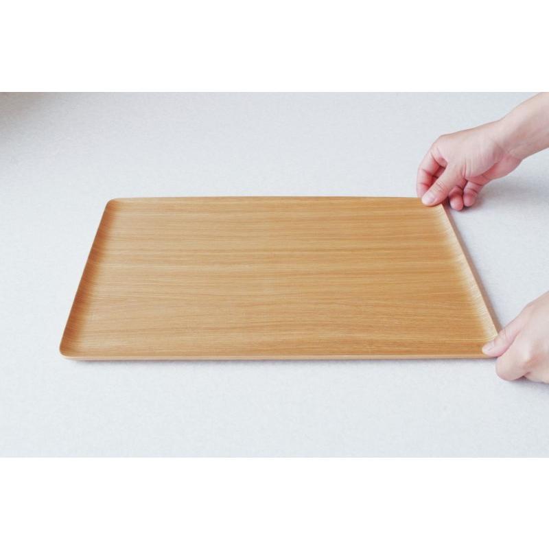 食洗器対応 GOLDCRAFT トレイ NPT Recta L ゴールドクラフト 日本製