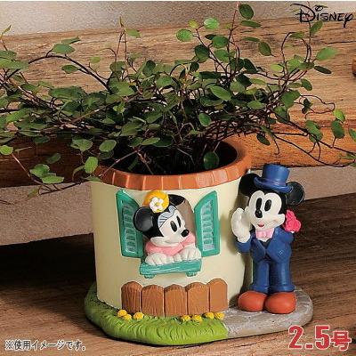 プランター 2.5号 小さい 植木鉢 窓辺 ミニーマウス＆ミッキーマウス