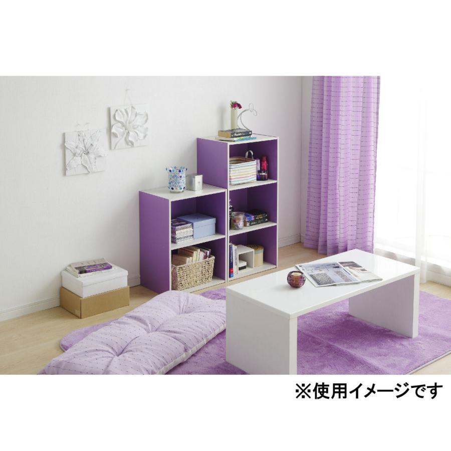 IRIS OHYAMA（アイリスオーヤマ） カラーボックス 2段 パープル／オフ