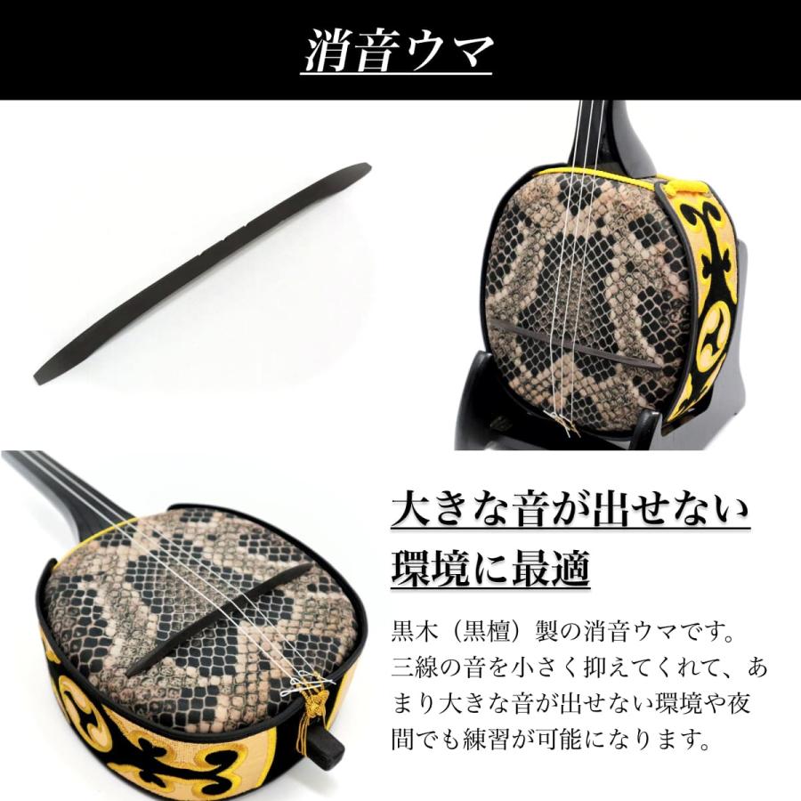 沖縄三線 初心者向け究極コンプリートフルセット カスタマイズ