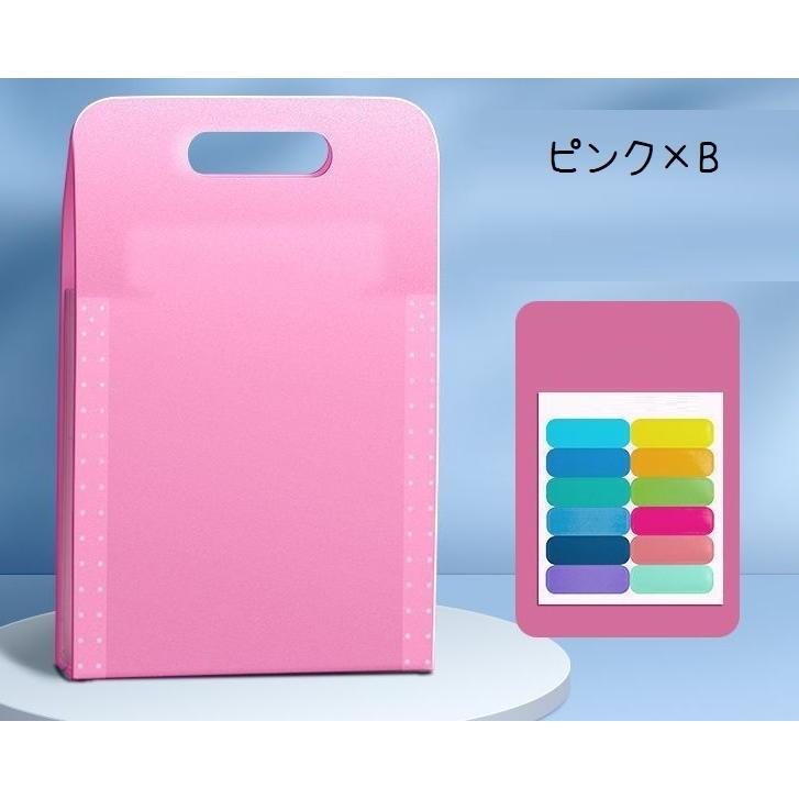 ドキュメントファイル ファイル 13ポケット A4 アコーディオン式 書類