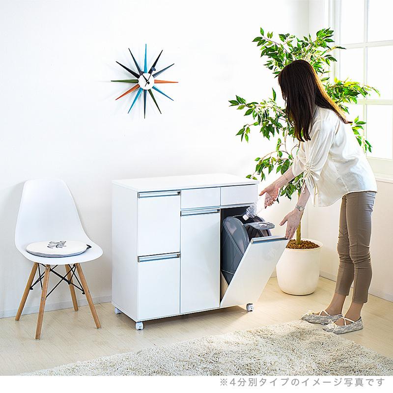 ダイニングダストボックス2D ごみ箱 2分別 台所用 生ごみ 背面美人