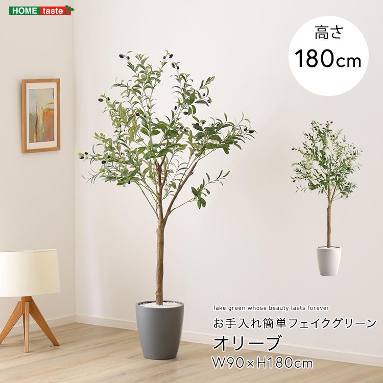 オリーブ フェイクグリーン 高さ180cm 観葉植物 フェイク 大型 人工