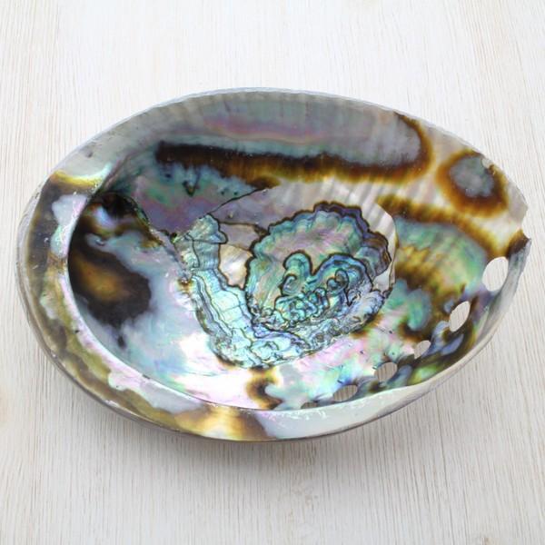 ヴィンテージ アワビ パウア貝 魚の細工 孔雀貝 オブジェ 42cm 希少